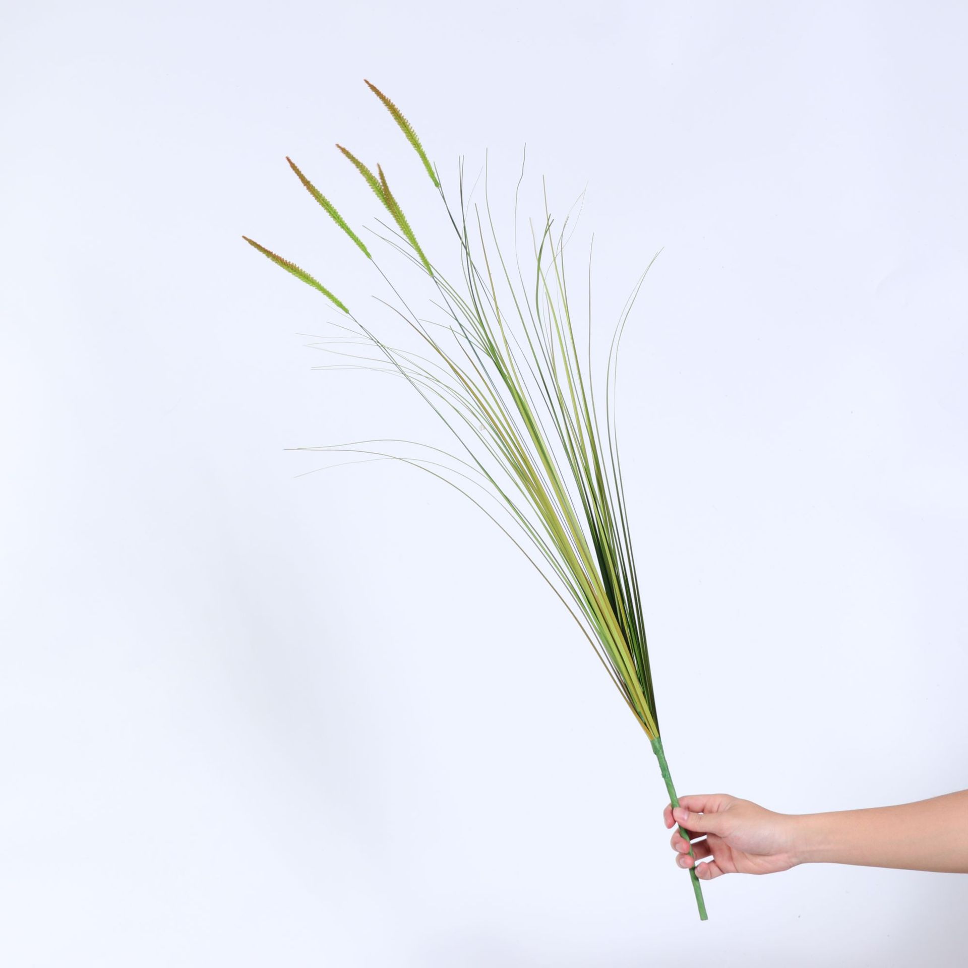 Reed de simulación de estilo nórdico, una sola rama, verde otoñal, cola de cachorro, decoración de interiores, decoración de arreglos florales para el hogar, césped falso, plantación verde falsa