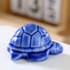 Turtle blue