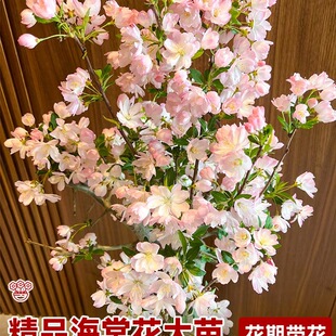 ���z���Ļ������ļ��_�������Ϙ��r����ֲ���辰�Gֲ�҃��껨���B