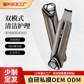 电子美容仪;面罩美容仪;生发仪、护发仪