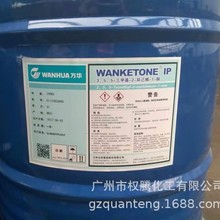 �����N�� �A�� ����ͪIP������ˮ ������ͪ �¹�ِ/�f�A