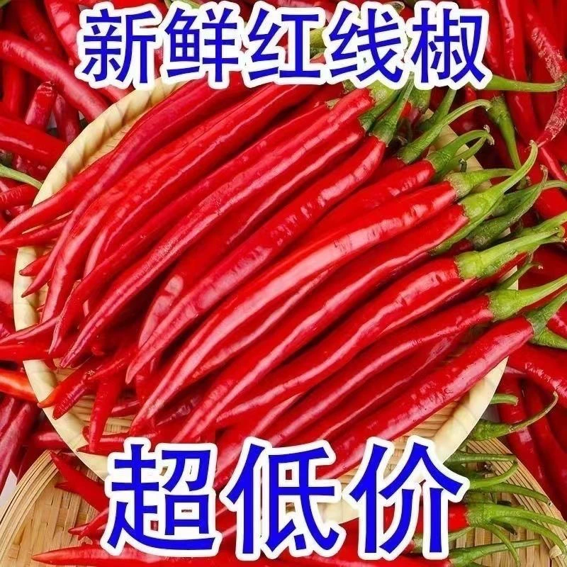 Свежесобранные с ферм Аньхой: среднепикантные маленькие красные перцы, измельченные перцы, длинные перцы и маленькие острые перцы 2.5kg