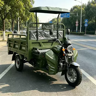 for Passenger Transport, Mobility Taxis, Sərnişin üçtəkərli motosikllar