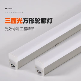 洗墙灯;投光灯;室外壁灯