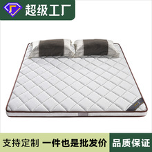 椰棕床垫 棕垫薄床垫硬床垫1.5米1.8m双人床垫经济型棕垫透气