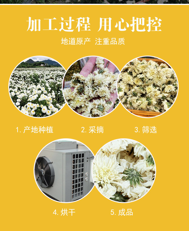 Huangshan Gong Ju Chrysanthemum (Chrysanthemum morifolium) — Dried White Flower Tea, 500g preparation