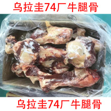 乌拉圭牛棒骨牛腿骨 骨髓炖汤牛骨头 牛尾汤食材 火锅食材批发