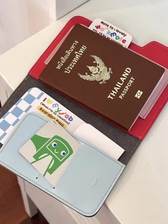 Reisepass-Etui, Farbblock, tragbar, Reiseorganizer