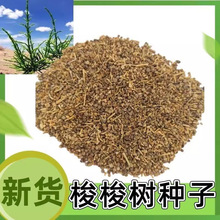 ��������������������ľ������������ɳ�ȷ���������