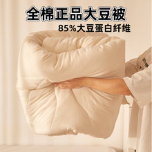 85%黑河大豆全棉大豆纤维被芯夏被春秋被冬被冬季加厚保暖被子
