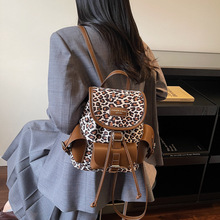 �r�б��y�³��p���2025�����¿�͹Ÿ߼�����С�����ٴ�