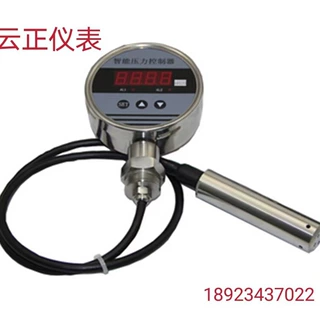 YM2000液位控制器 开关控制器 变送控制器    质保一年