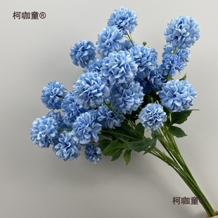 ?�F���{ɫϵ����c�����~��õ����ĵ���ٻ���Y�ñ����b���̫��