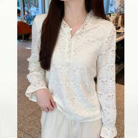 法式柔软月光高级感磨毛长袖气质蕾丝衬衫女秋冬叠穿连帽减龄上衣