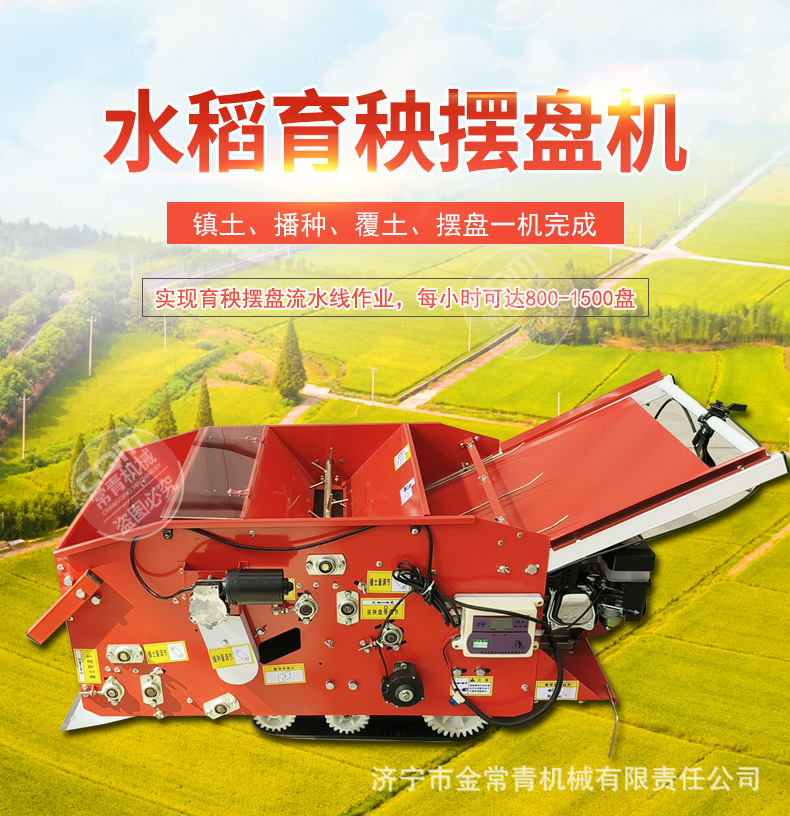 育秧摆盘机 (2)