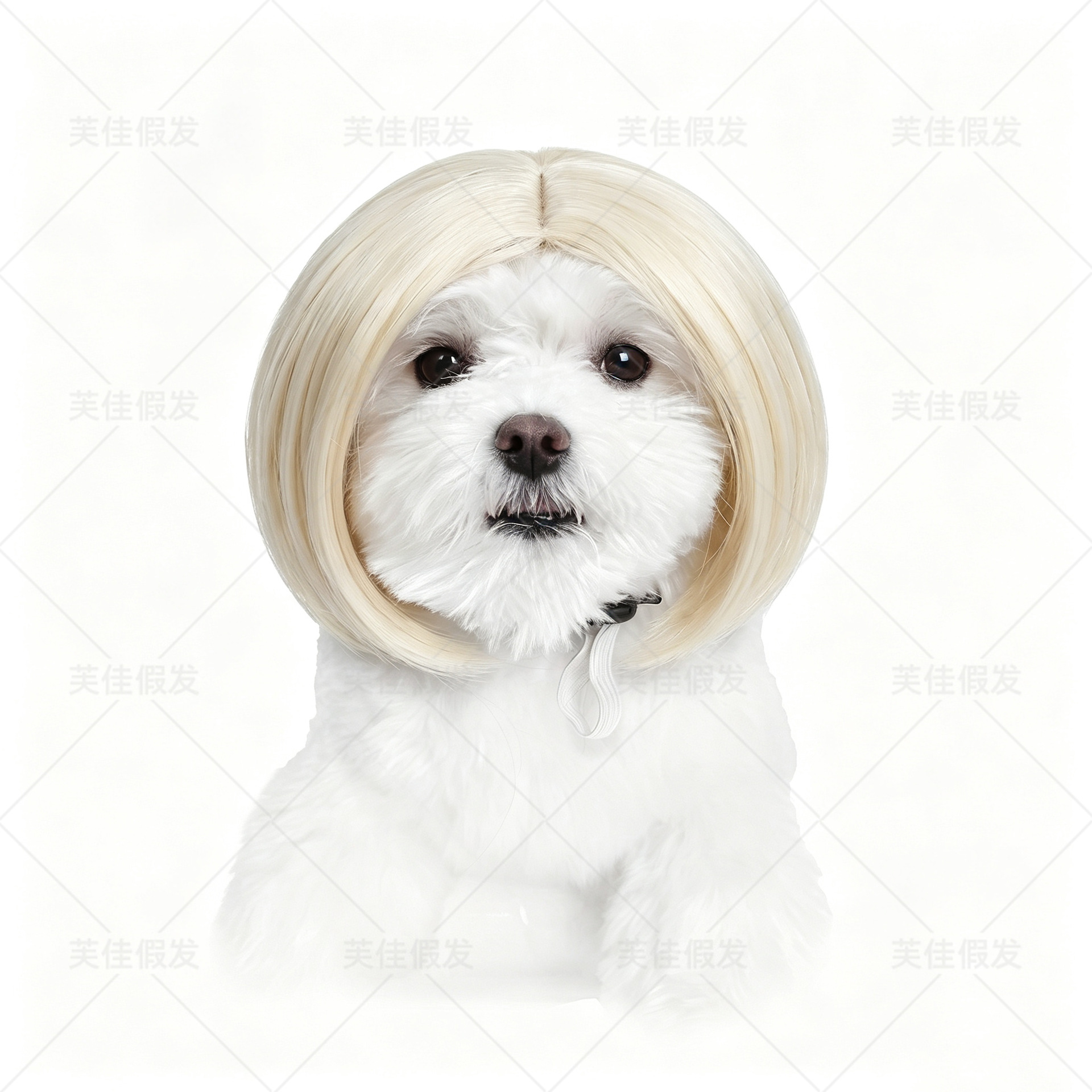 Peluca para mascotas Peluca de perro suministros transfronterizos para mascotas de Halloween joyería para mascotas Pelo Rizado pelo recto Peluca de gato
