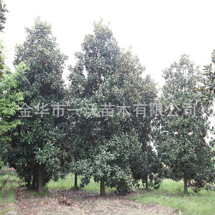 �V���m �׼t���m �S���m �����m �r����  12-20����