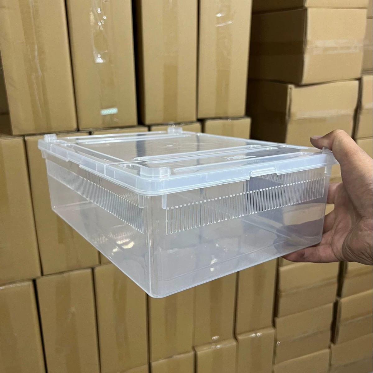 A4 с крышкой рептилий ящик для кормления ящик для кормления шелкопряда