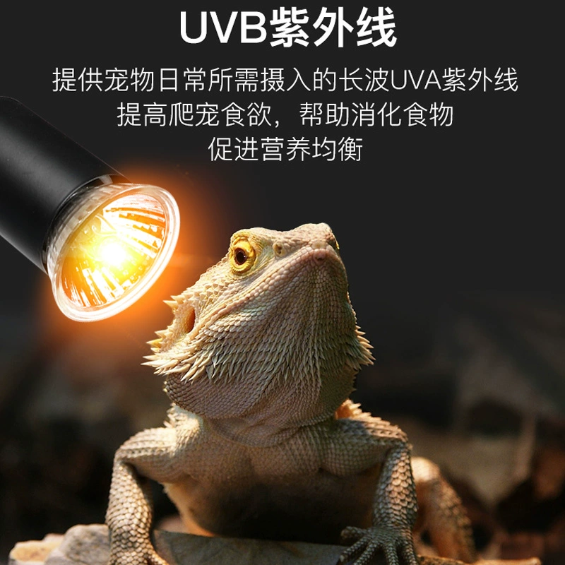 Черепаха, подсветка задняя нагревательная термос-лампа UVA+UVB солнечный свет для лазания домашнее животное тепловентиляция стерилизация улитка