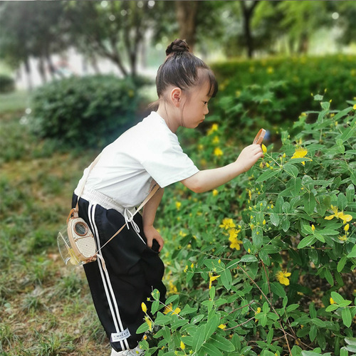 Wholesale Manufacturer Children's Insect Magnifying Observation Box with Catching Net Bag and Feeding Transparent Collector Observation Box