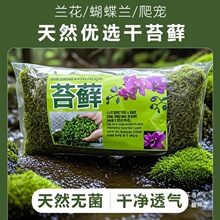 ��̦�\�����m��������|ˮ̦�I�B������ʯ���Nֲ�޽Ӟ����|����̦