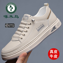 ��ľ�B��Ь�¿���Ƥܛ�װ�Ь���n�����eƤЬ��ʿ�r�аٴ�С��Ь��