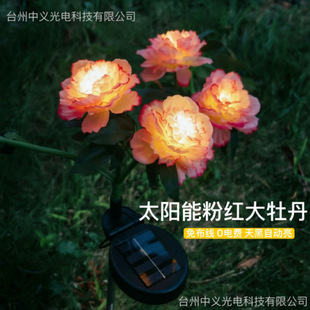 �羳����̫���ledĵ�����滨ͥԺ��Ժ�b���ƺ�����ˮ�ز��