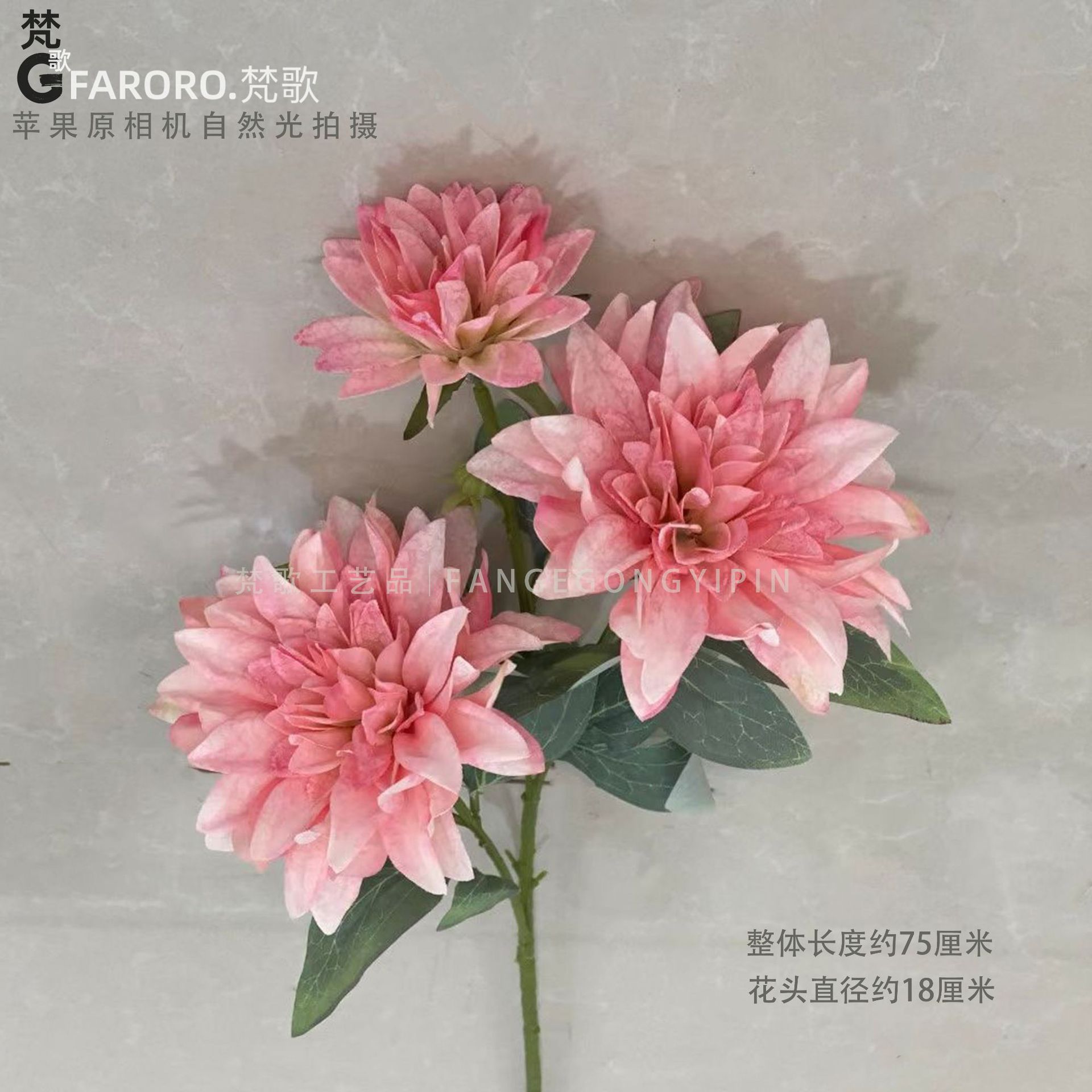 유화 달리아