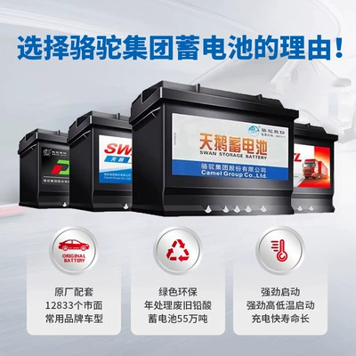 Camel Swan DF car battery Car battery/battery