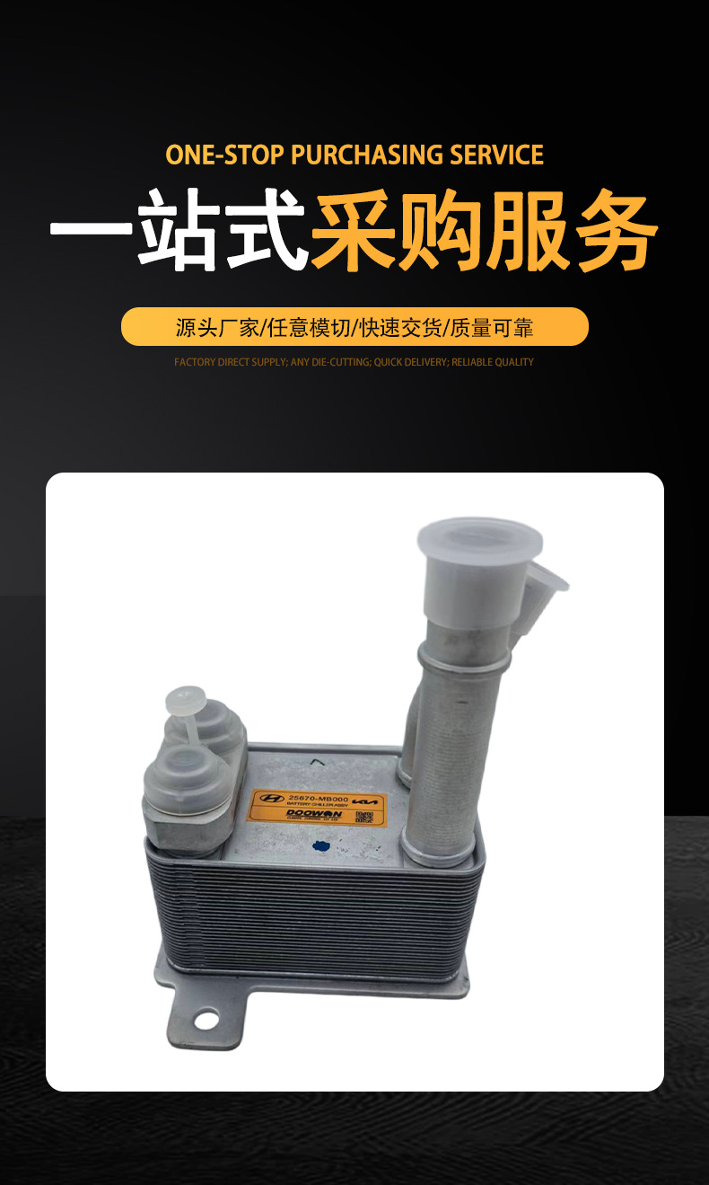 Suitable for Kia Ev5 Electric Vehicle Cooler Radiator Coolant Circulation Cooling Device Oe25670Mb00