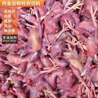 鹰类娃娃鱼养殖饲料整箱无添加冷冻小鸡仔肉食动物特养饲料