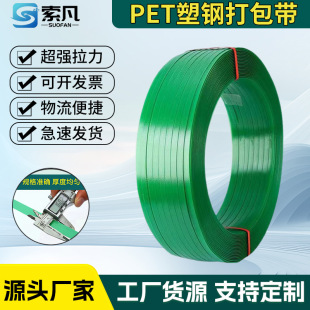 Manufacturer High Quality Green Mobile Phone Strong Pull and Broken Power 1608Pet Hot Melt Plastic Steel Straps Wholesale