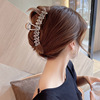 Hairpin Hindbrain girl Large Grip Simplicity Korean Edition grace Hair caught Shark Clamp Headdress