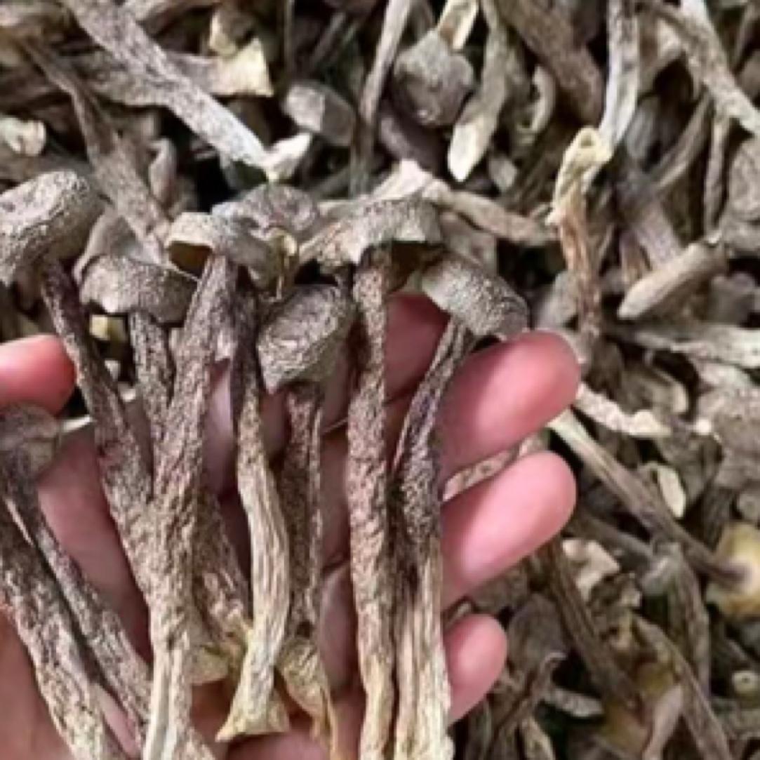 Dried Lyophyllum decastes Mushroom Lu Rong Gu 1000g Sun-Dried Culinary Fungi for Soups and Stir-Fries overview