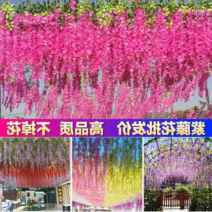 ���ٻ��ٻ����_�m��픻����҃Ȼ�c�b��ٗl���ϻ��l����ֲ��