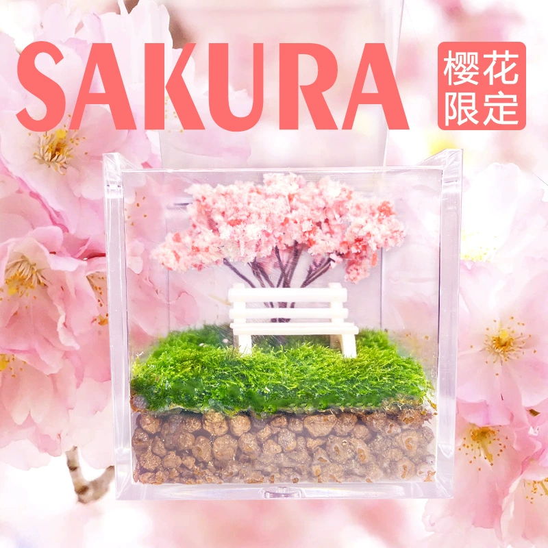 [Под деревом сакуры] Мини-мх сакуры, микропейзаж, зеленое растение, украшение для рабочего стола, креативный романтический подарок