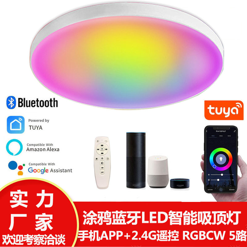 Graffiti Bluetooth inteligente luz de techo WiFi control remoto Alexa Google Voice APP control remoto RGB a todo color