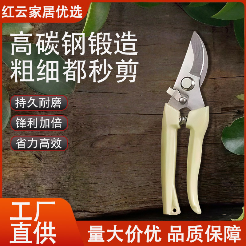 不锈钢鸟嘴园林剪修剪花枝盆景剪刀园艺剪树枝剪修枝专用剪刀工具