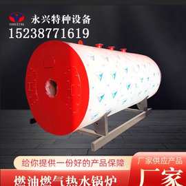 燃油燃气热水锅炉蒸汽锅炉洗涤印染酿酒行业超低氮自动蒸汽发生器