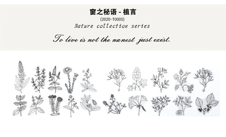Natural photo collection window series PET handbook post paper bag creative plant DIY decorative post 12 models