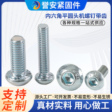镀锌防锈内六角平圆头带齿机螺钉 现货M6M8防滑齿五金紧固件螺栓