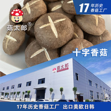 �㹽��؛ʮ���㹽�ɾ�����؛�������r���خa��ʳĢ�����؂䰸