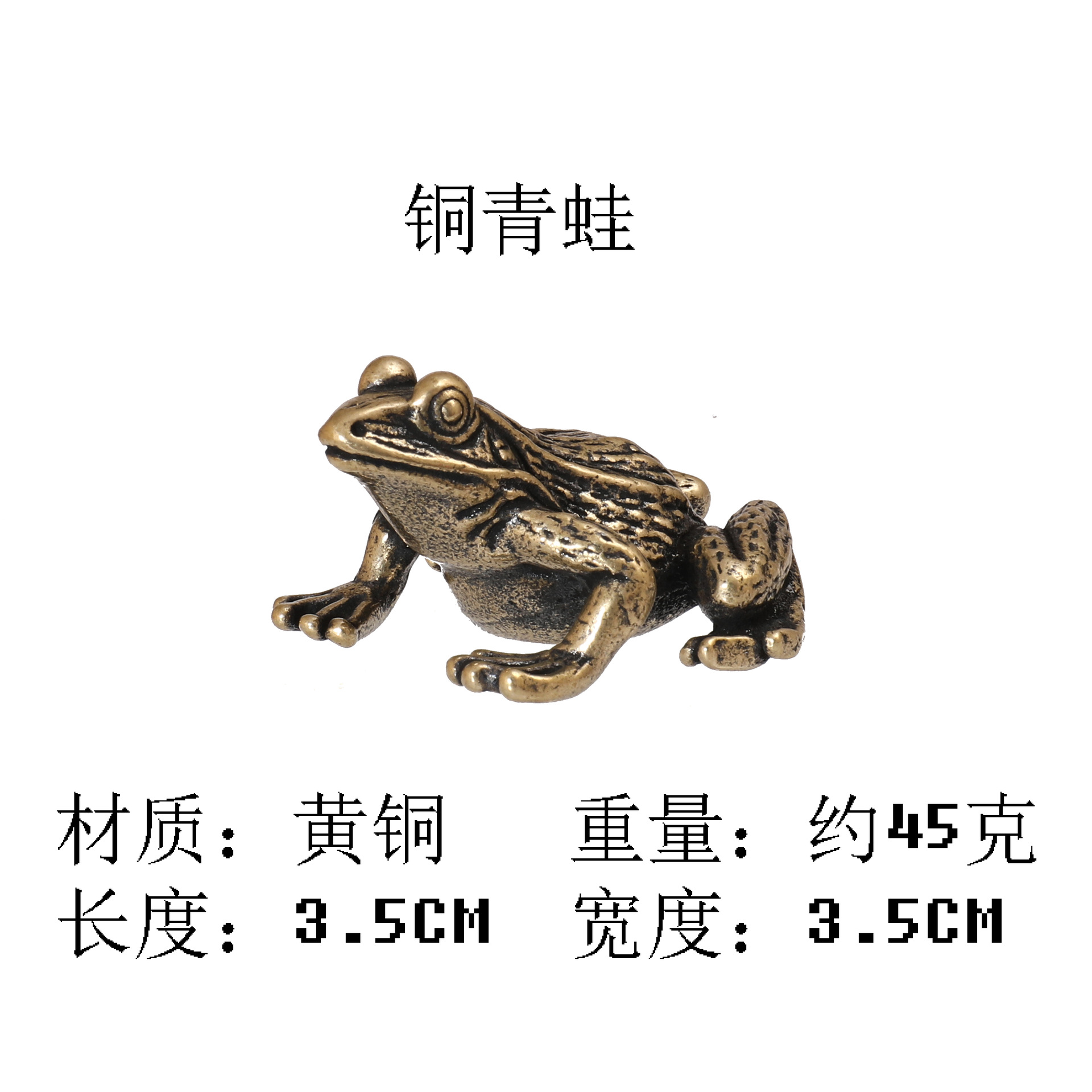 青蛙.jpg