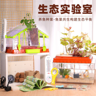 ꖹⷿ�Nֲ��ͯС�W�����B�ƌW������bֲ���^��Nֲ�@�B���~���