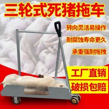 �Bֳ�����i��܇�����i������݆���w�����D�\܇�i����늄ӓ��i܇