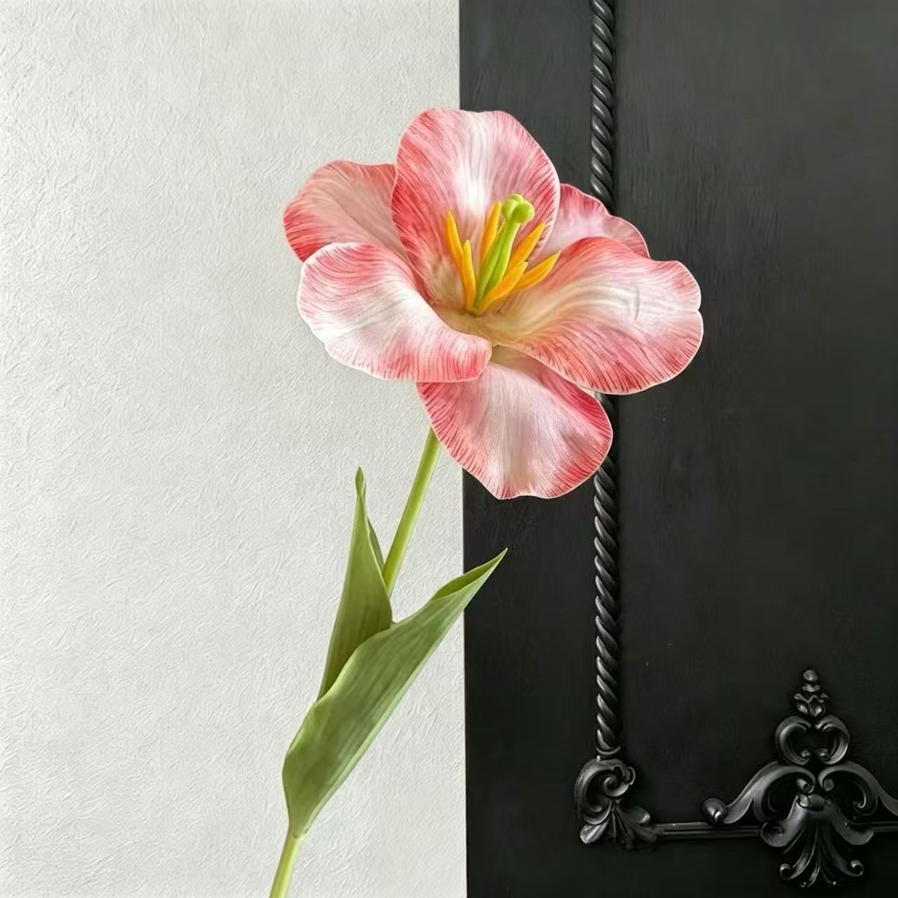 오렌지 다크 브라운