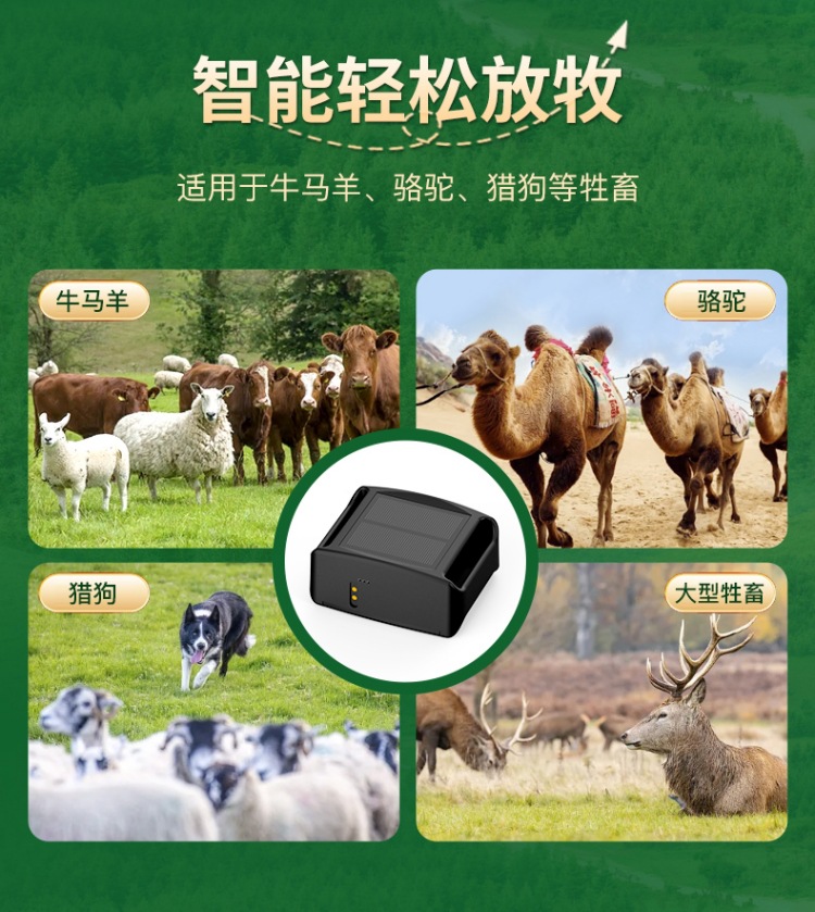 Waterproof, cold-resistant and fall-resistant solar energy auxiliary charging cattle and sheep animal husbandry GPS locator 4G 2G full network coverage anti-loss device