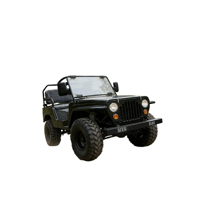 Four-wheel motorcycle, parent-child electric vehicle, off-road vehicle, go-kart, jeep, recreational vehicle, beach vehicle, direct factory sales (Elektrikli motosikletlər) - 800w-motor-48v-20a-lithium-battery