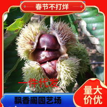 l̩ɽһ̖ 12ּ޽Ӱlr