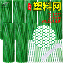 跨境爆品塑料鸡丝网宠物花园围栏网养殖育雏垫网塑料网格网塑料网